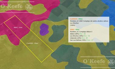 CAMPO MIXTO DE 90 HAS CON MUY BUEN ACCESO A 1.30 HS DE CABA - RANCHOS