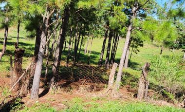 Se Vende Chacra entre Apóstoles y San José. MISIONES