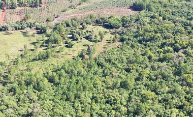 Se Vende Chacra entre Apóstoles y San José. MISIONES