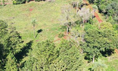 Se Vende Chacra entre Apóstoles y San José. MISIONES