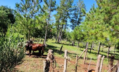 Se Vende Chacra entre Apóstoles y San José. MISIONES