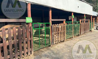 Fondo de Comercio - Venta - Florencio Varela - Bs As