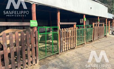 Fondo de Comercio - Venta - Florencio Varela - Bs As