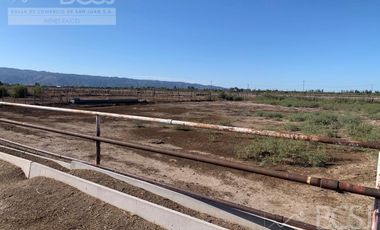 Finca en Angaco