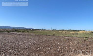 Finca en Angaco