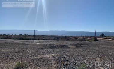 Finca en Angaco