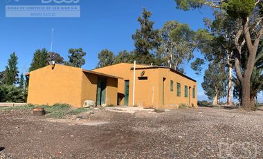 Finca en Angaco