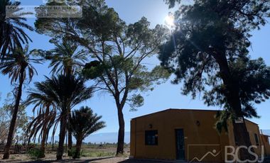 Finca en Angaco