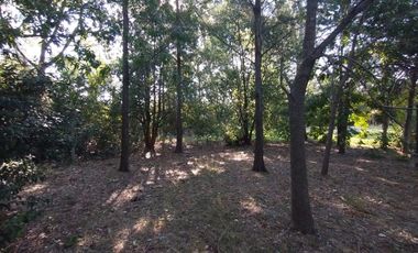 Casa en Venta en La Plata