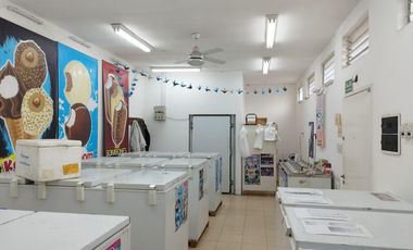 Galpón en  zona sur