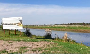 Lote a la Laguna FINANCIADO- Nordelta