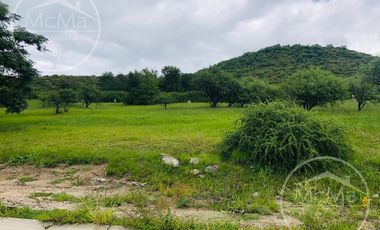 Terreno - Potrerillo de la Larreta