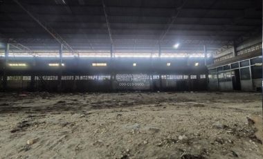 For Sale factory 1 rai San Mueang Nuea Road Lamphun , Mueang Nga , Mueang Lamphun , Lamphun , CX-116591