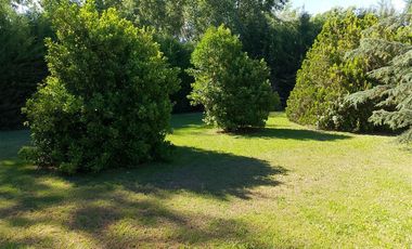Parcela en Venta en Camino Rinconada de San Vicente