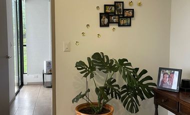 APARTAMENTO EN ARRIENDO EN AV ALBERTO MENDOZA