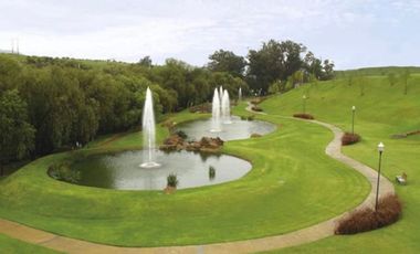 Casa Amueblada En Renta  En Senderos De Monte Verde.