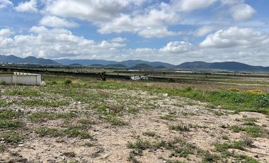 Terreno Campestre en Venta, San Antonio de las Alazanas, Arteaga, Coahuila