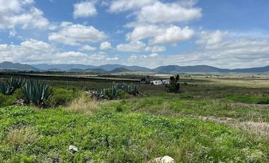 Terreno Campestre en Venta, San Antonio de las Alazanas, Arteaga, Coahuila