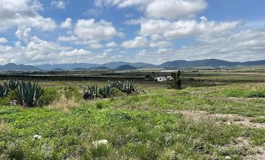 Terreno Campestre en Venta, San Antonio de las Alazanas, Arteaga, Coahuila