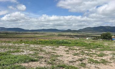 Terreno Campestre en Venta, San Antonio de las Alazanas, Arteaga, Coahuila
