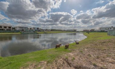 Lote a la laguna, en venta en Los Puentes - Nordelta