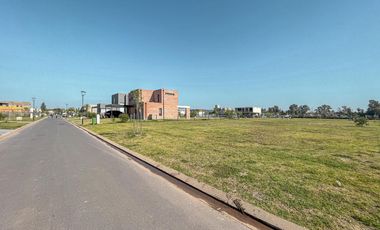 Terreno central en la mejor zona de VIDA con frente Sur