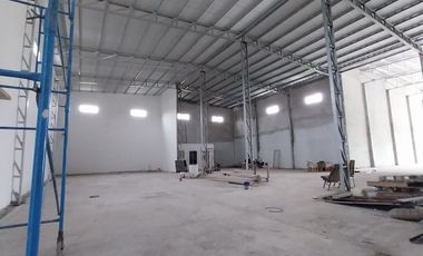 Galpón en ROLDAN