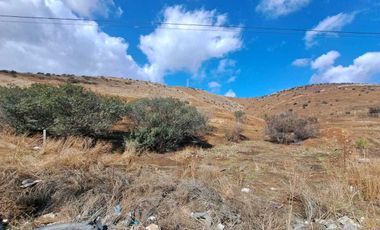 ¡ATENCION INVERSIONISTAS! 7HA EN VENTA VALLE DE LAS PALMAS $58usd x m2