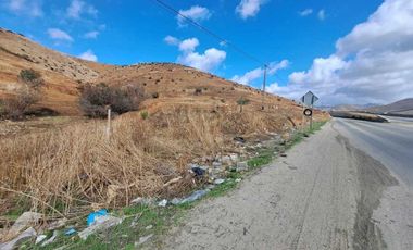 ¡ATENCION INVERSIONISTAS! 7HA EN VENTA VALLE DE LAS PALMAS $58usd x m2