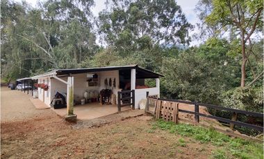 FINCA