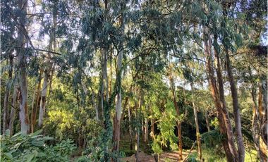 FINCA