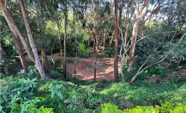 FINCA