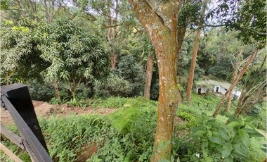 FINCA