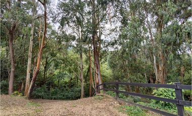 FINCA