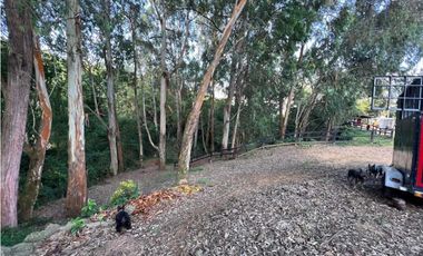 FINCA