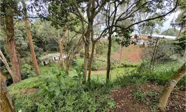 FINCA