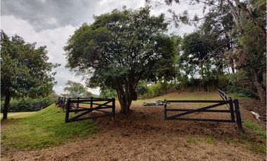 FINCA
