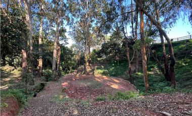 FINCA