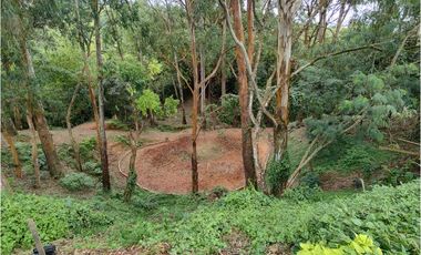 FINCA