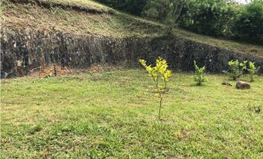 LOTE DAPA FONTANA