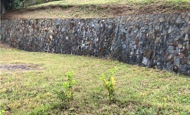 LOTE DAPA FONTANA