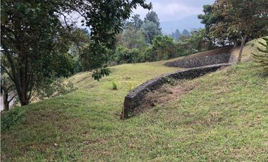 LOTE DAPA FONTANA