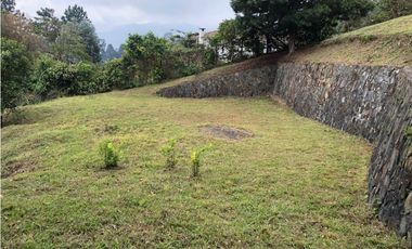 LOTE DAPA FONTANA