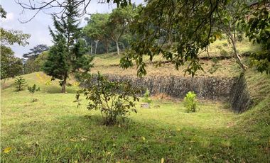 LOTE DAPA FONTANA