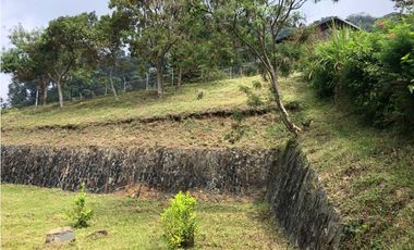 LOTE DAPA FONTANA