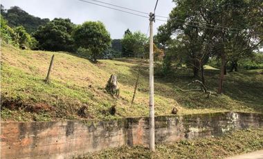 LOTE DAPA FONTANA