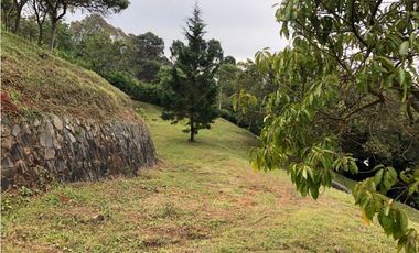 LOTE DAPA FONTANA