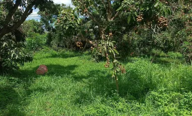 Land for sale in Yu Wa, Chiang Mai