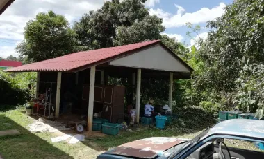 Land for sale in Yu Wa, Chiang Mai