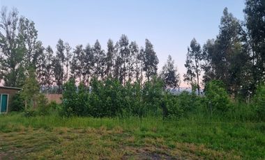 Parcela en Venta en Camino a san Juan Kilometro 13,5, Linares